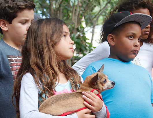 Involving Kids and Teens In Our Mission of Rescuing Homeless And Abandoned Animals