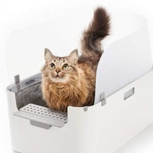 litterbox